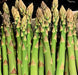 Mary Washington, Asparagus, -- BoxGardenSeedsLLC -Gourmet/Native Greens - Seeds