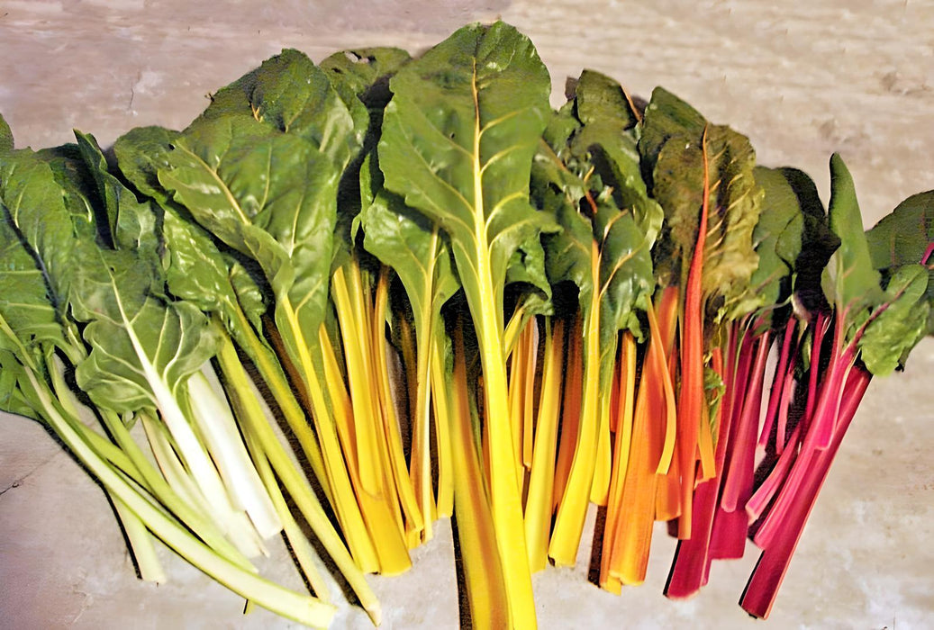 Rainbow Mix, Swiss Chard, -- BoxGardenSeedsLLC -Chard, Kohlrabi - Seeds