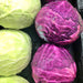 Early Red Acre, Cabbage, - BoxGardenSeedsLLC -Cabbage, Kale - Seeds