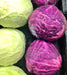 Early Red Acre, Cabbage, -- BoxGardenSeedsLLC -Cabbage, Kale - Seeds