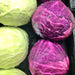 Early Red Acre, Cabbage, - BoxGardenSeedsLLC -Cabbage, Kale - Seeds