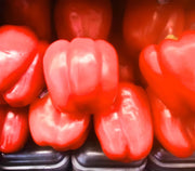 King of the North, Sweet Bell Pepper - BoxGardenSeedsLLC - Peppers,Eggplants - Seeds - USA Seller, Thank you for shopping here today, Naturally Grown GMO Free Seeds, Heirloom Open Pollinated Seeds, Fresh Top Quality Premium Seeds