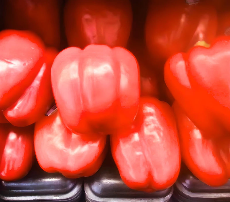 King of the North, Sweet Bell Pepper - BoxGardenSeedsLLC - Peppers,Eggplants - Seeds - USA Seller, Thank you for shopping here today, Naturally Grown GMO Free Seeds, Heirloom Open Pollinated Seeds, Fresh Top Quality Premium Seeds