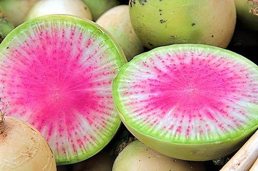 Red Meat (Watermelon), Radish, -- BoxGardenSeedsLLC -Melons, Cantaloupe - Seeds