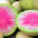 Red Meat (Watermelon), Radish, - BoxGardenSeedsLLC -Melons, Cantaloupe - Seeds