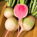 Red Meat (Watermelon), Radish, - BoxGardenSeedsLLC -Melons, Cantaloupe - Seeds