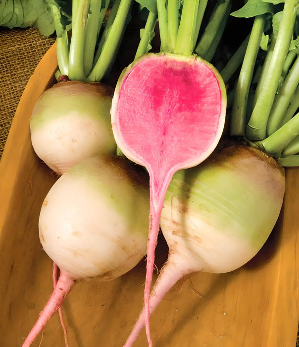 Red Meat (Watermelon), Radish, - BoxGardenSeedsLLC -Melons, Cantaloupe - Seeds