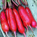 China Rose, Radish, - BoxGardenSeedsLLC -Radishes - Seeds