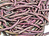 Royal Burgundy, Bush Beans, -- BoxGardenSeedsLLC -Abundant Stock SALE - Seeds