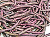 Royal Burgundy, Bush Beans - BoxGardenSeedsLLC - Beans / Dry Beans - Seeds - USA Seller, Thank you for shopping here today, Naturally Grown GMO Free Seeds, Heirloom Open Pollinated Seeds, Fresh Top Quality Premium Seeds