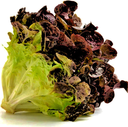 Ruby Red, Lettuce - BoxGardenSeedsLLC -Lettuce - Seeds