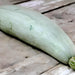 Big Blue Guatemalan, Winter Squash, - BoxGardenSeedsLLC -Abundant Stock SALE - Seeds