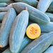 Big Blue Guatemalan, Winter Squash, - BoxGardenSeedsLLC -Abundant Stock SALE - Seeds