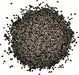 Black Cumin, Herb, -- BoxGardenSeedsLLC -Abundant Stock SALE - Seeds