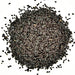 Black Cumin, Herb, - BoxGardenSeedsLLC -Abundant Stock SALE - Seeds