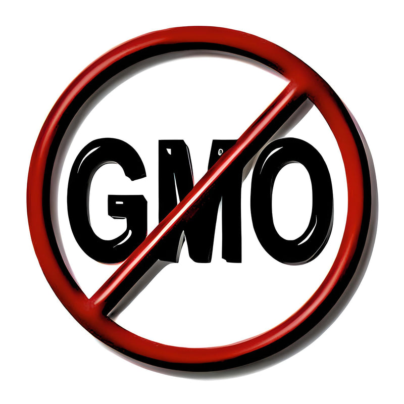 Strawberry, Popcorn - BoxGardenSeedsLLC - Corn - Seeds - USA Seller, Thank you for shopping here today, Naturally Grown GMO Free Seeds, Heirloom Open Pollinated Seeds, Fresh Top Quality Premium Seeds