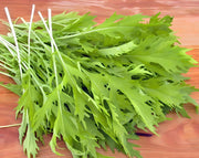 Early Mizuna, Mustard - BoxGardenSeedsLLC - Gourmet/Native Greens - Seeds - USA Seller, Thank you for shopping here today, Naturally Grown GMO Free Seeds, Heirloom Open Pollinated Seeds, Fresh Top Quality Premium Seeds
