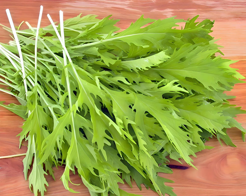 Early Mizuna, Mustard - BoxGardenSeedsLLC - Gourmet/Native Greens - Seeds - USA Seller, Thank you for shopping here today, Naturally Grown GMO Free Seeds, Heirloom Open Pollinated Seeds, Fresh Top Quality Premium Seeds
