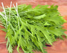 Early Mizuna, Mustard, -- BoxGardenSeedsLLC -Gourmet/Native Greens - Seeds