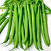 Slenderette, Beans, - BoxGardenSeedsLLC -Beans / Dry Beans - Seeds