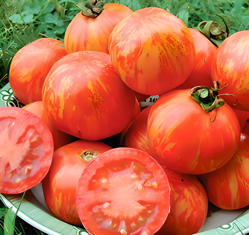 Tigerella, Tomato, - BoxGardenSeedsLLC -Tomatoes,Tomatillos - Seeds