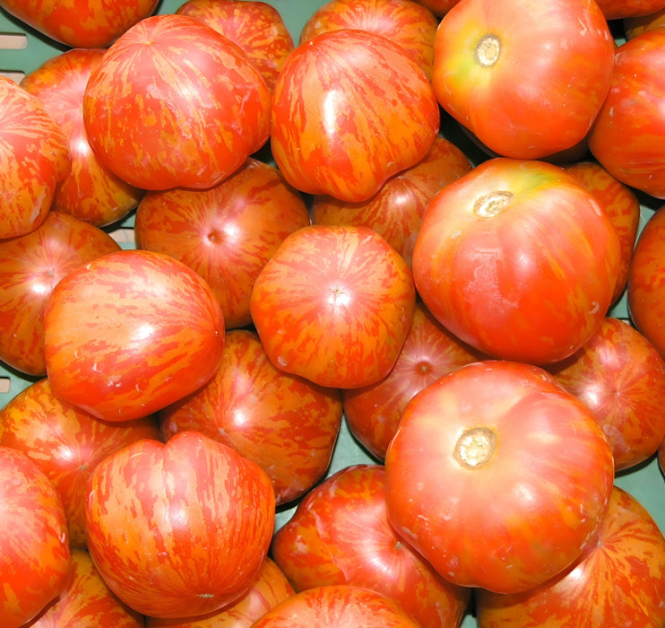 Tigerella, Tomato, -- BoxGardenSeedsLLC -Tomatoes,Tomatillos - Seeds