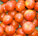 Tigerella, Tomato, -- BoxGardenSeedsLLC -Tomatoes,Tomatillos - Seeds