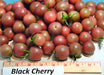 Black Cherry, Tomato, -- BoxGardenSeedsLLC -Tomatoes,Tomatillos - Seeds