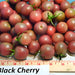 Black Cherry, Tomato, - BoxGardenSeedsLLC -Tomatoes,Tomatillos - Seeds