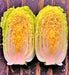 Matsushima, Japanese Napa Cabbage, -- BoxGardenSeedsLLC -Cabbage, Kale - Seeds