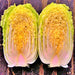 Matsushima, Japanese Napa Cabbage, - BoxGardenSeedsLLC -Cabbage, Kale - Seeds