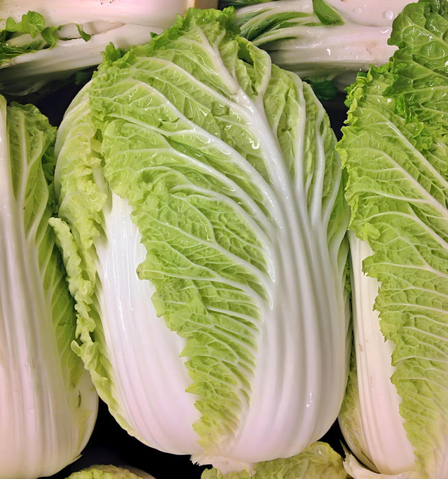 Matsushima, Japanese Napa Cabbage, - BoxGardenSeedsLLC -Cabbage, Kale - Seeds