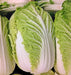 Matsushima, Japanese Napa Cabbage, -- BoxGardenSeedsLLC -Cabbage, Kale - Seeds