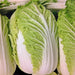 Matsushima, Japanese Napa Cabbage, - BoxGardenSeedsLLC -Cabbage, Kale - Seeds