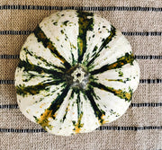 Jaune et Verte, Scallop Summer Squash - BoxGardenSeedsLLC - Squash,Pumpkins - Seeds - 