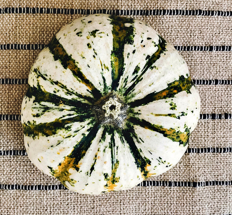 Jaune et Verte, Scallop Summer Squash - BoxGardenSeedsLLC - Squash,Pumpkins - Seeds - 