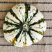 Summer Squash Scallop, Jaune et Verte, Heirloom Garden Seeds Open Pollinated Container Gardening Non-GMO - BoxGardenSeedsLLC - - Seeds