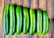 Spacemaster 80 Cucumber Heirloom Seeds, Container Gardening Non-GMO - BoxGardenSeedsLLC - Cucumbers - Seeds - USA Seller, Thank you for shopping here today, Naturally Grown GMO Free Seeds, Heirloom Open Pollinated Seeds, Fresh Top Quality Premium Seeds