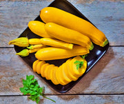 Zucchini Summer Squash, Seed Collection - BoxGardenSeedsLLC - Squash,Pumpkins - Seeds - USA Seller, Thank you for shopping here today, Naturally Grown GMO Free Seeds, Heirloom Open Pollinated Seeds, Fresh Top Quality Premium Seeds