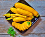 Zucchini Summer Squash, Seed Kit, -- BoxGardenSeedsLLC -Squash,Pumpkins - Seeds