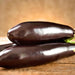 Black Beauty, Eggplant, - BoxGardenSeedsLLC -Peppers,Eggplants - Seeds