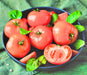 Nepal, Tomato, -- BoxGardenSeedsLLC -Tomatoes,Tomatillos - Seeds