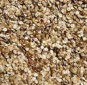 Orach Purple Mountain, Spinach - BoxGardenSeedsLLC - Gourmet/Native Greens - Seeds - USA Seller, Thank you for shopping here today, Naturally Grown GMO Free Seeds, Heirloom Open Pollinated Seeds, Fresh Top Quality Premium Seeds