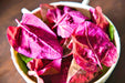 Orach Purple Mountain, Spinach, -- BoxGardenSeedsLLC -Gourmet/Native Greens - Seeds