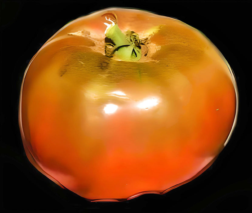 Cherokee Purple, Tomato - BoxGardenSeedsLLC - Tomatoes,Tomatillos - Seeds - 