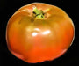 Cherokee Purple, Tomato - BoxGardenSeedsLLC - Tomatoes,Tomatillos - Seeds - 