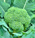 Broccoli, Green Calabrese, -- BoxGardenSeedsLLC -Broccoli,Cauliflower - Seeds