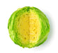 Copenhagen Market, Cabbage, -- BoxGardenSeedsLLC -Cabbage, Kale - Seeds