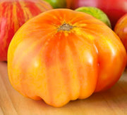 Hillbilly, Tomato - BoxGardenSeedsLLC - Tomatoes,Tomatillos - Seeds - 
