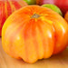 Hillbilly, Tomato, - BoxGardenSeedsLLC -Tomatoes,Tomatillos - Seeds